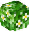 Голова — Зелёный куст с жёлтыми цветами