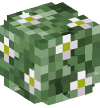 Голова — Зелёный куст с зелеными цветами