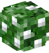 Голова — Зелёный куст с белыми цветами