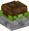 Голова — Черепаха на камне