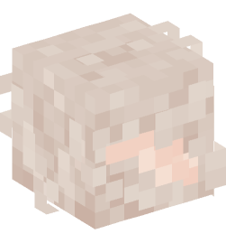 Minecraft head — Creatures
