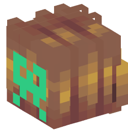 Minecraft head — People