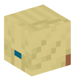 Minecraft head — People