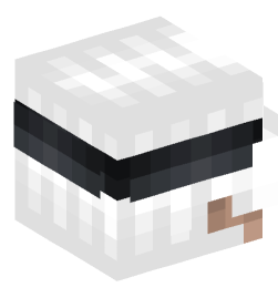 Minecraft head — People