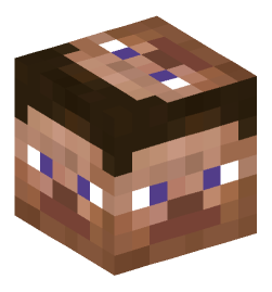 Minecraft head — People