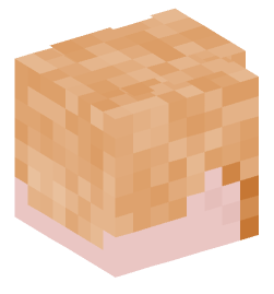 Minecraft head — People