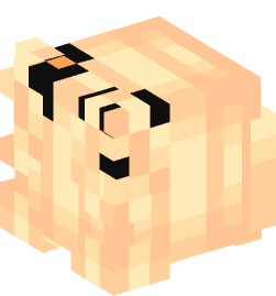 Minecraft head — People