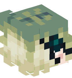 Minecraft head — People