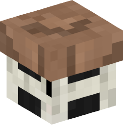 Minecraft head — Decor