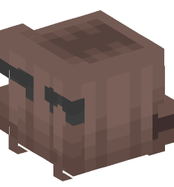 Minecraft head — People