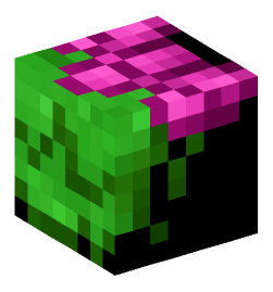 Minecraft head — Decor