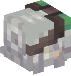 Minecraft head — People