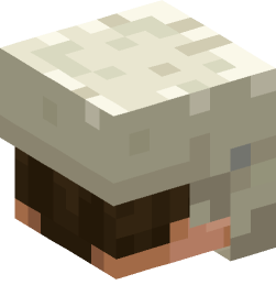 Minecraft head — People