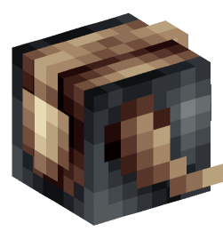 Minecraft head — People