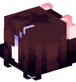 Minecraft head — People