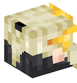 Minecraft head — People