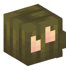 Minecraft head — Creatures