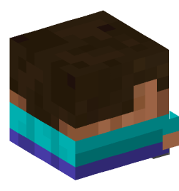 Minecraft head — Decor