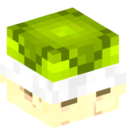 Minecraft head — Decor