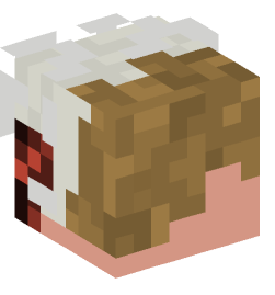 Minecraft head — People