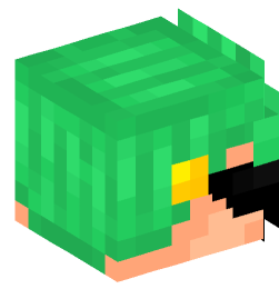 Minecraft head — People