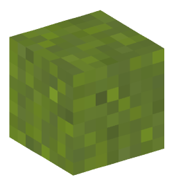 Minecraft head — Blocks