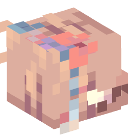 Minecraft head — People