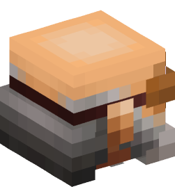 Minecraft head — People