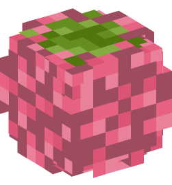 Minecraft head — Plants