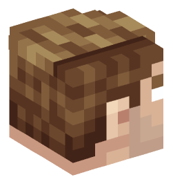 Minecraft head — People