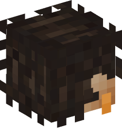 Minecraft head — People