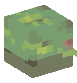 Minecraft head — Creatures