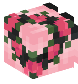 Minecraft head — People