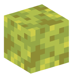 Minecraft head — Blocks