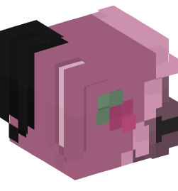 Minecraft head — People