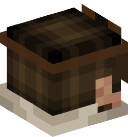 Minecraft head — People