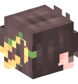 Minecraft head — People