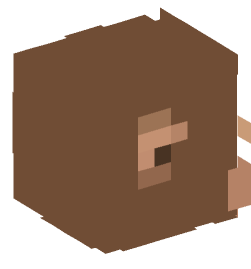 Minecraft head — Decor