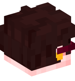 Minecraft head — People