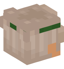 Minecraft head — People