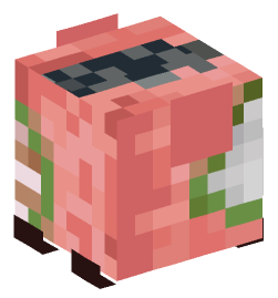 Minecraft head — Decor