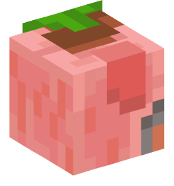 Minecraft head — People