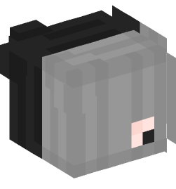 Minecraft head — People