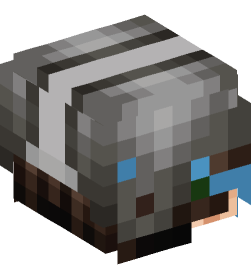 Minecraft head — People