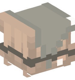 Minecraft head — People