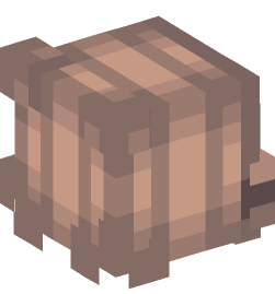 Minecraft head — People