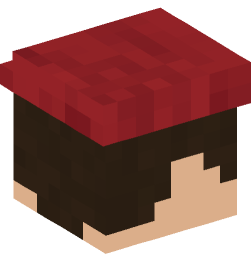 Minecraft head — People