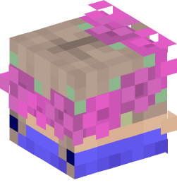 Minecraft head — Decor