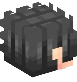 Minecraft head — People