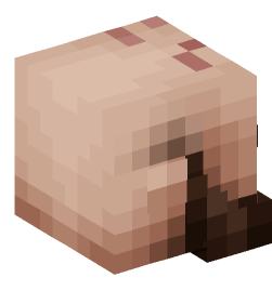 Minecraft head — People